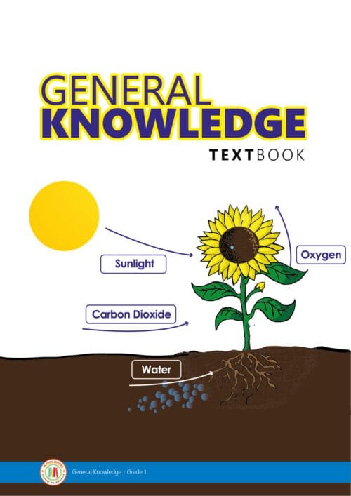 General Knowledge - Grade 1 - Image 2