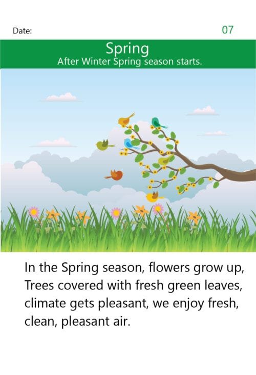 Seasons - Basic Vocabulary Builder - Image 9